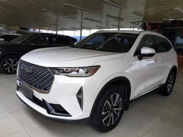 Haval H6 2021 3rd Generation 1.5T Automatic Two-Wheel Drive Pro