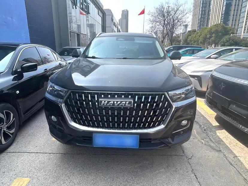 Haval H6 2023 National Trend Edition 1.5T Automatic Champion Version — миниатюра 3