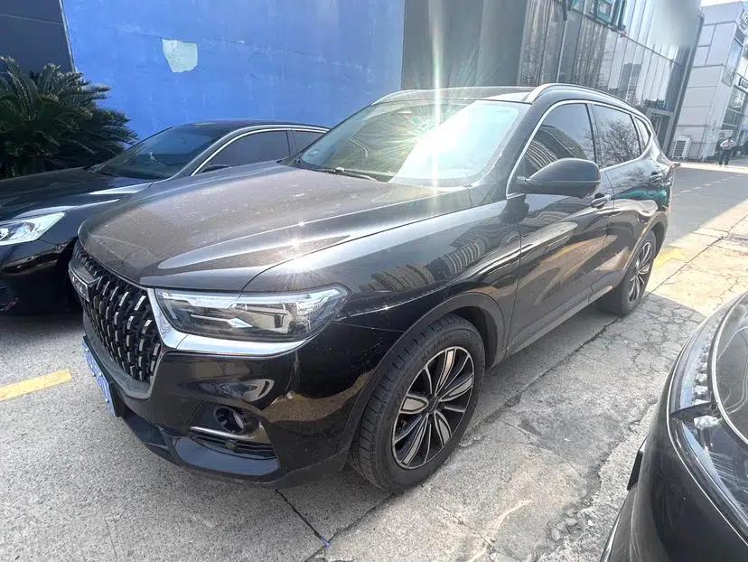 Haval H6 2023 National Trend Edition 1.5T Automatic Champion Version — миниатюра 5