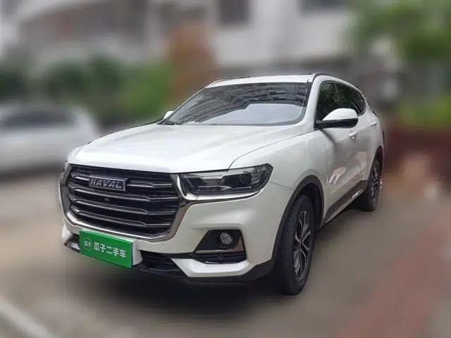 Haval H6 2021 National Trend Edition 1.5T Automatic Urban Version