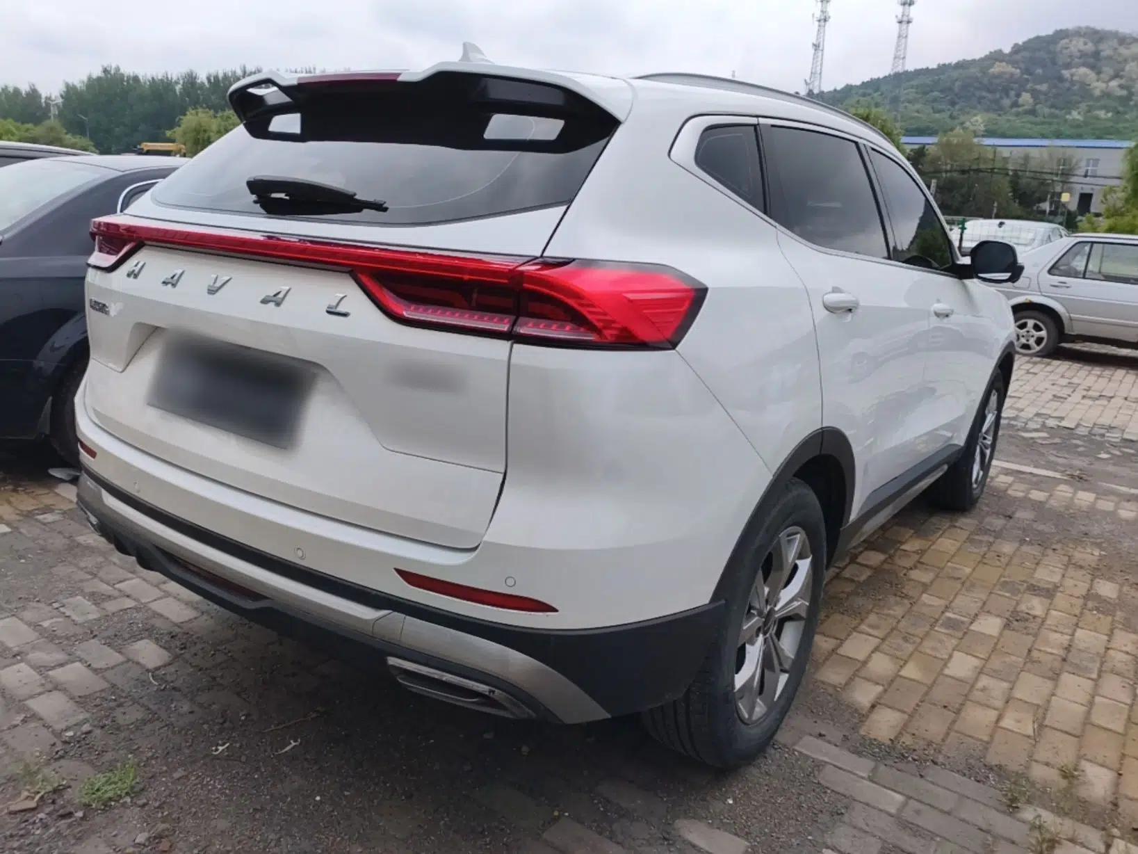 Haval H6 2021 National Trend Edition 1.5T Automatic Champion Version — миниатюра 6