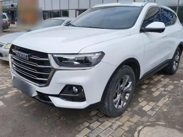 Haval H6 2021 National Trend Edition 1.5T Automatic Champion Version
