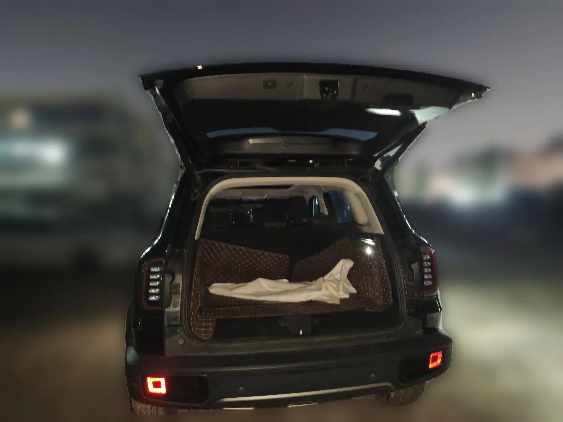 Haval DARGO 2024 1.5T DCT Border Collie Edition — миниатюра 16