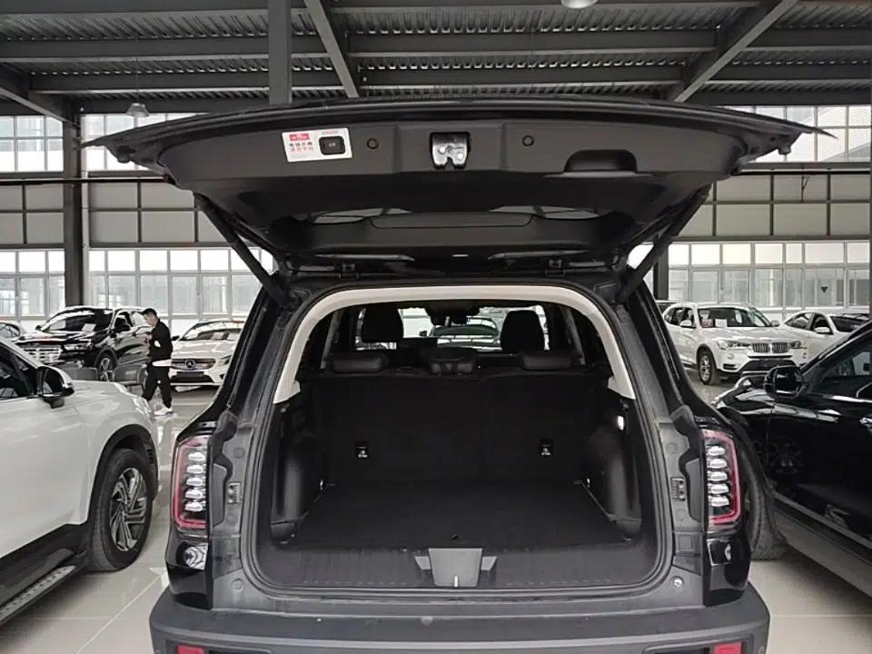 Haval DARGO 2024 1.5T DCT Border Collie Edition — миниатюра 22