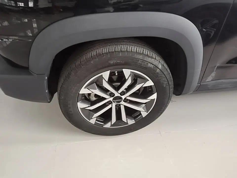 Haval DARGO 2024 1.5T DCT Border Collie Edition — миниатюра 8