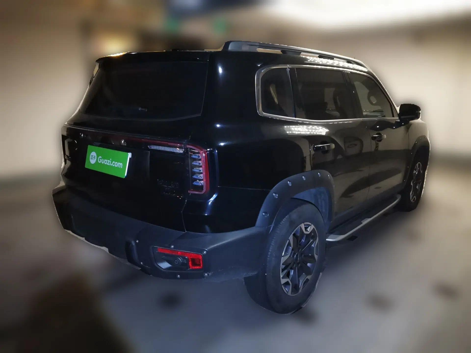 Haval DARGO 2024 2.0T DCT Chinese Rural Dog Edition — миниатюра 6
