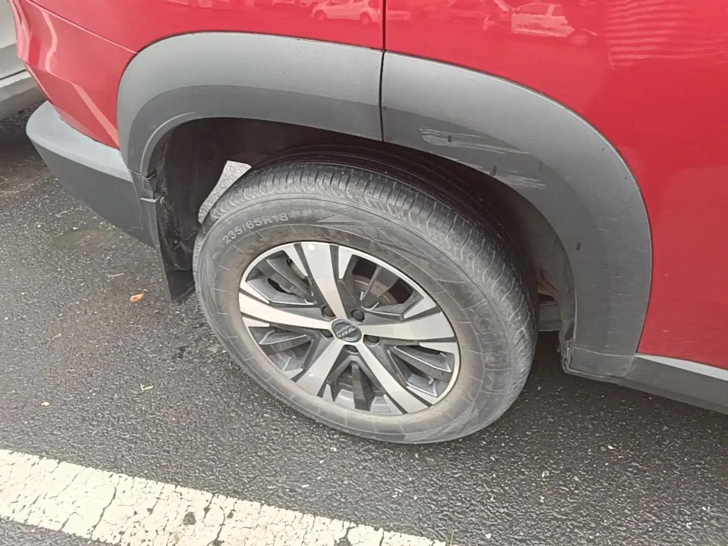 Haval DARGO 2021 1.5T DCT Two-Wheel Drive Labrador Edition — миниатюра 10