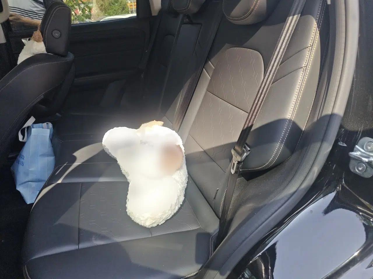 Haval DARGO 2024 1.5T DCT Border Collie Edition — миниатюра 20