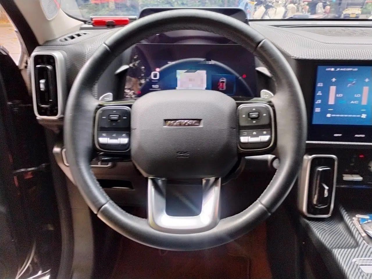 Haval DARGO 2021 2.0T DCT 4x4 Chinese Rural Dog Edition — миниатюра 11