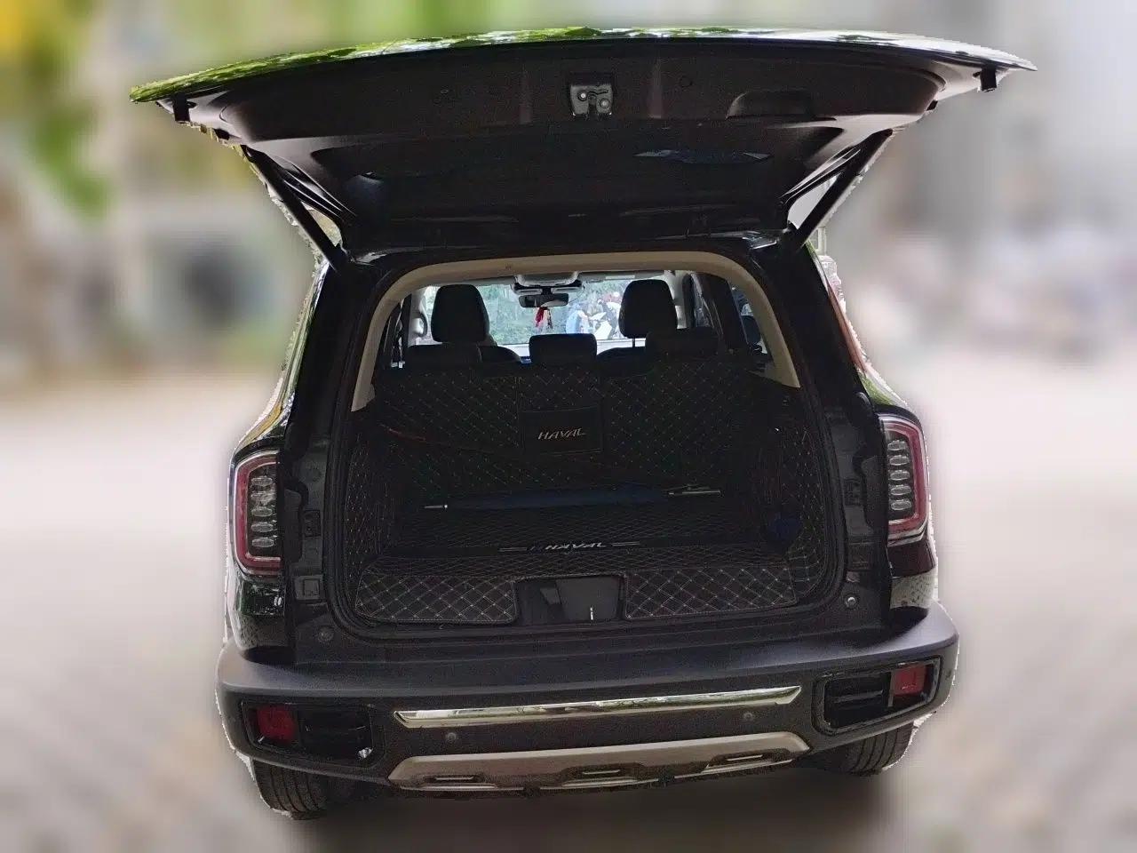 Haval DARGO 2021 2.0T DCT 4x4 Chinese Rural Dog Edition — миниатюра 20