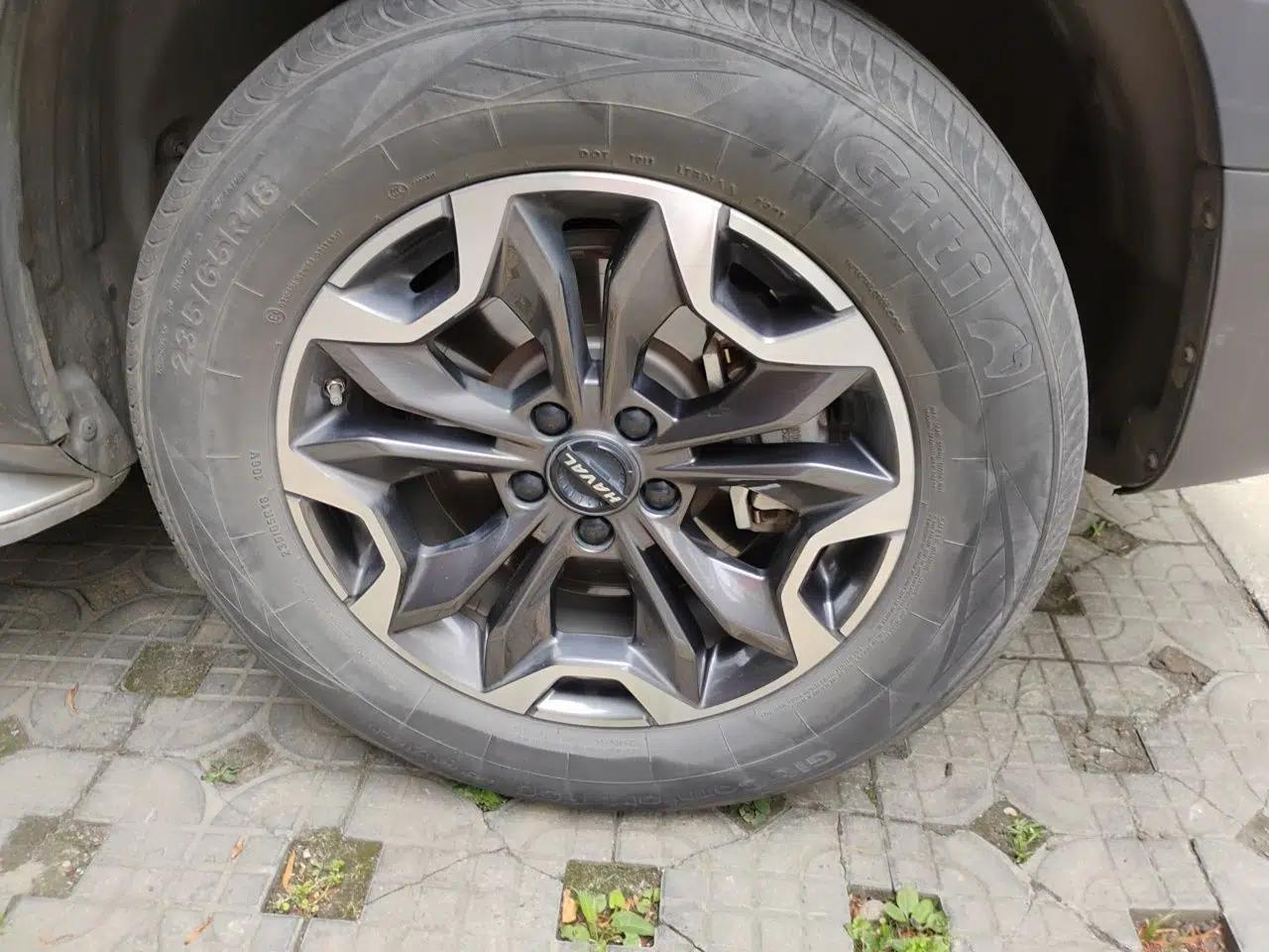 Haval DARGO 2021 2.0T DCT 4x4 Chinese Rural Dog Edition — миниатюра 8