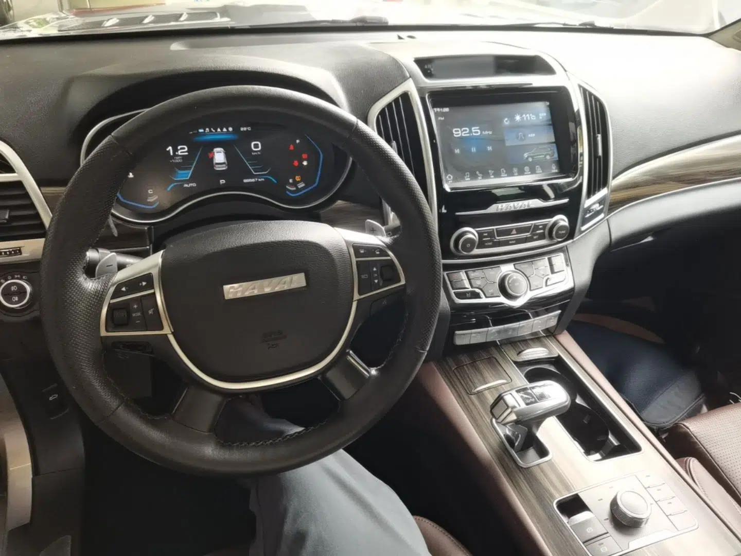 Haval H9 2020 2.0T Gasoline 4WD Premium Edition 5 Seats — миниатюра 13