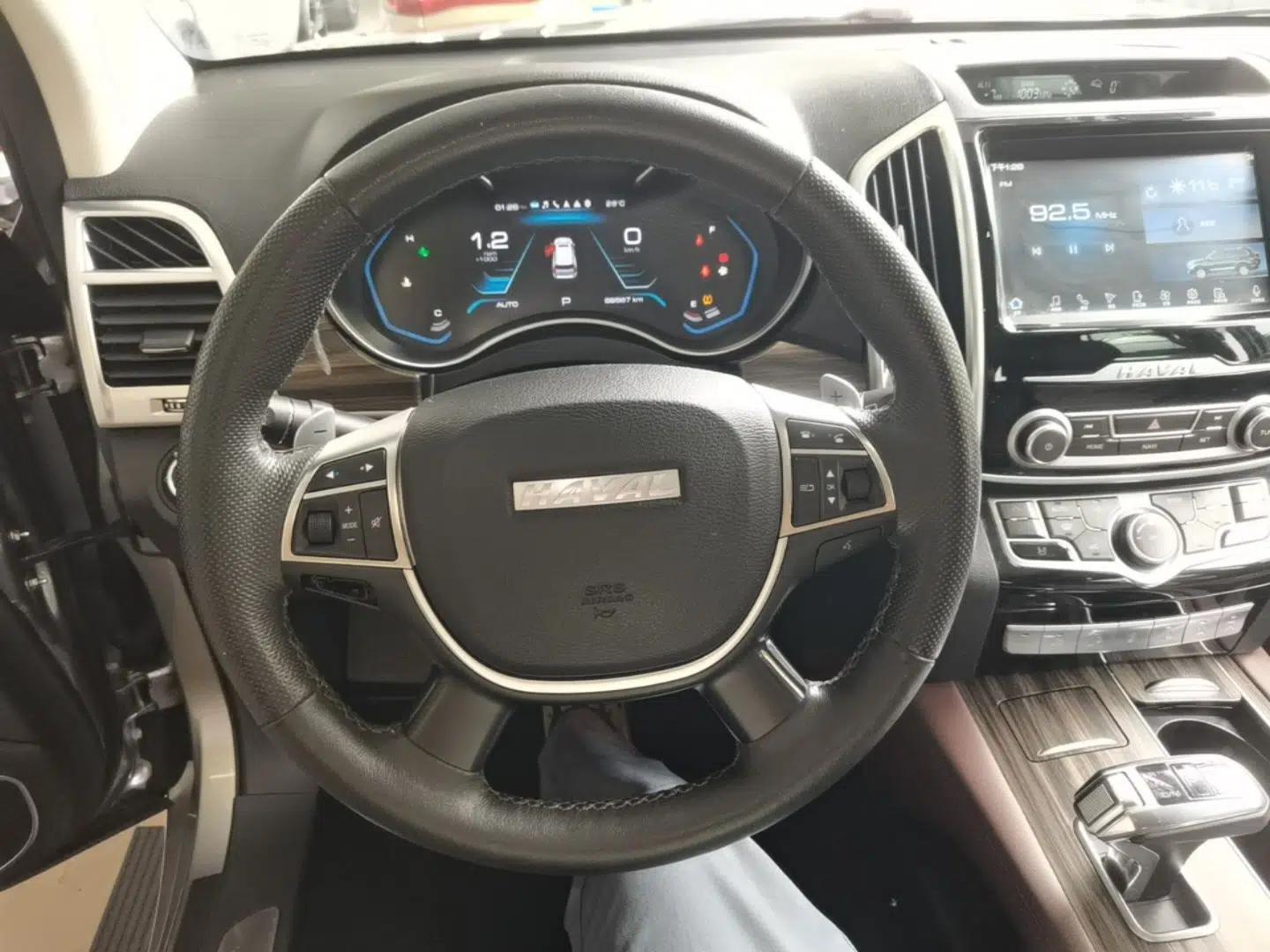 Haval H9 2020 2.0T Gasoline 4WD Premium Edition 5 Seats — миниатюра 14