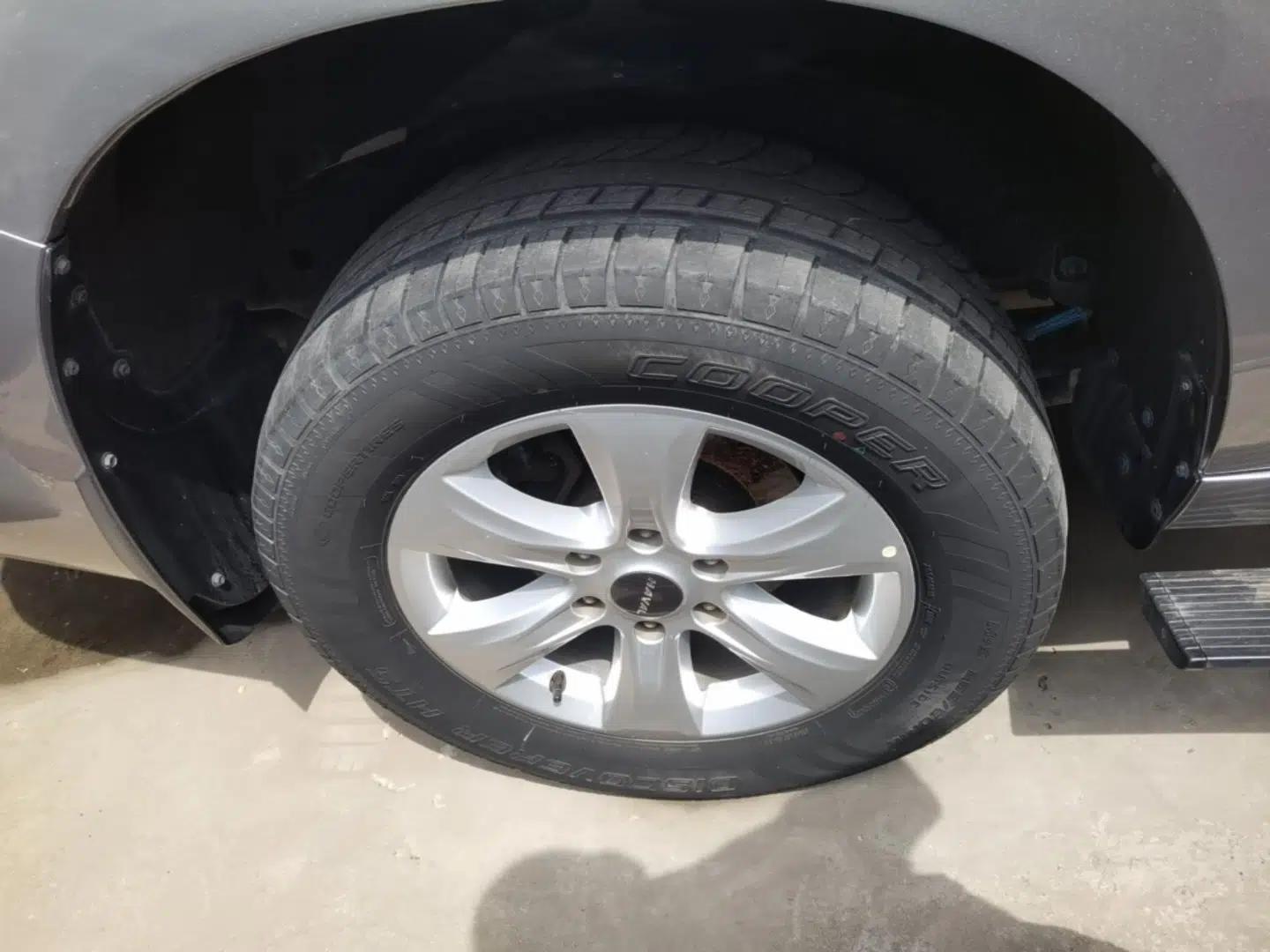 Haval H9 2020 2.0T Gasoline 4WD Premium Edition 5 Seats — миниатюра 10