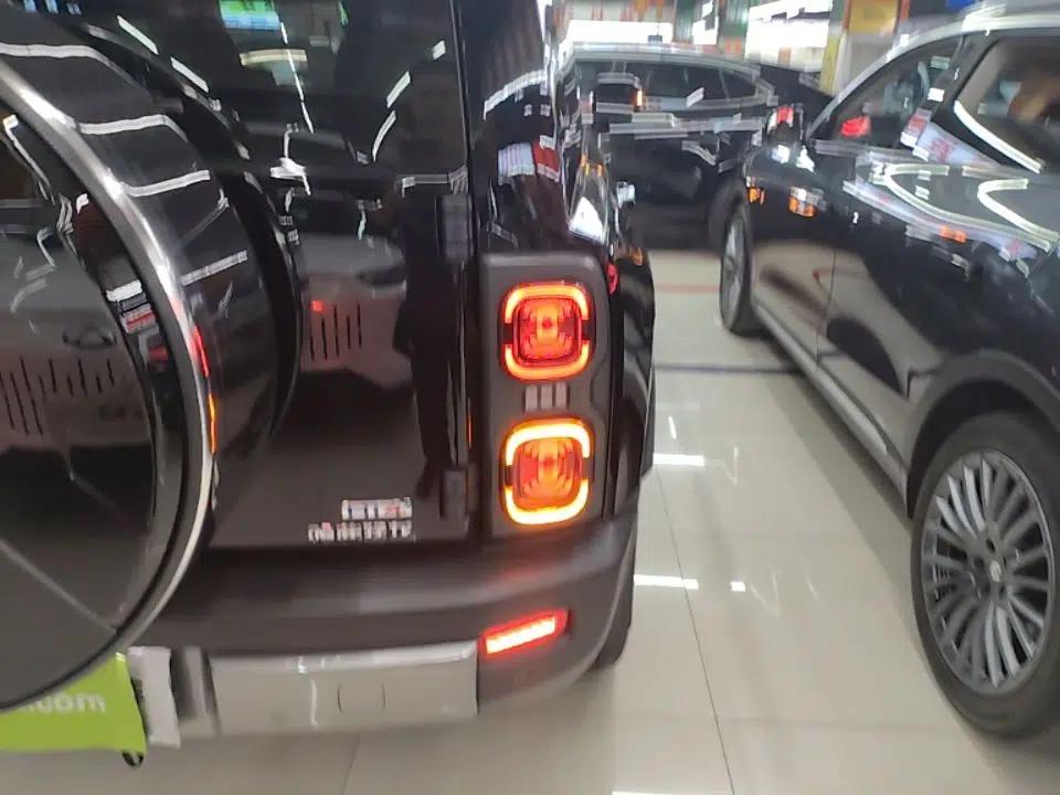 Haval Raptor New Energy 2024 Hi4 102 Pro — миниатюра 8