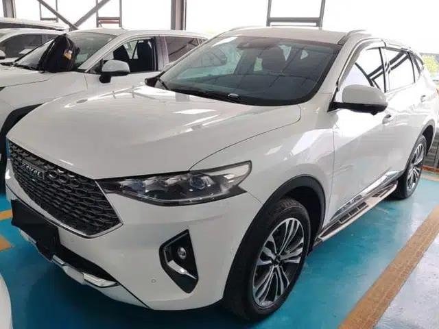 Haval F7 2020 2.0T Two-Wheel Drive i-Van