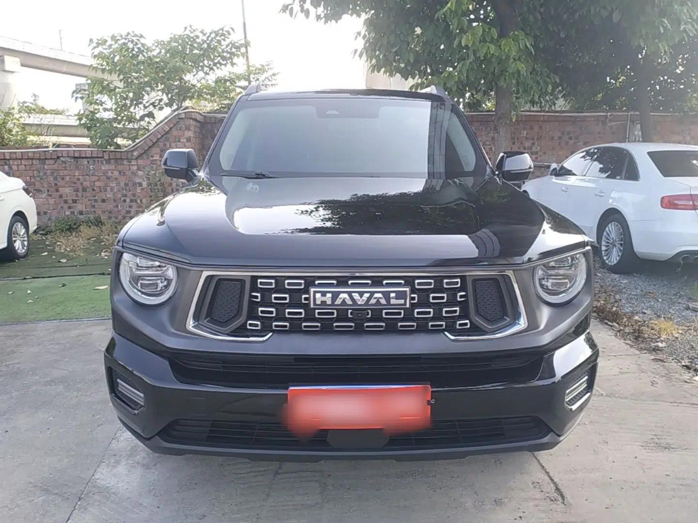 Haval H Dog 2023 1.5T Two-Wheel Drive Chao Ye Version Plus — миниатюра 2