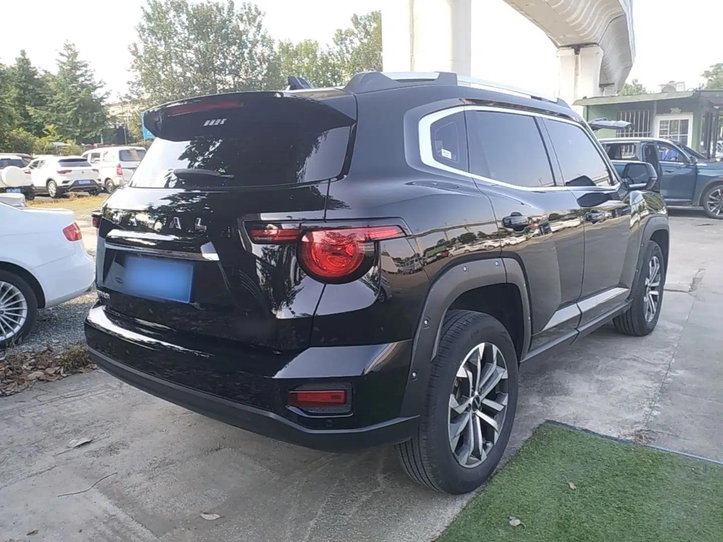 Haval H Dog 2023 1.5T Two-Wheel Drive Chao Ye Version Plus — миниатюра 6