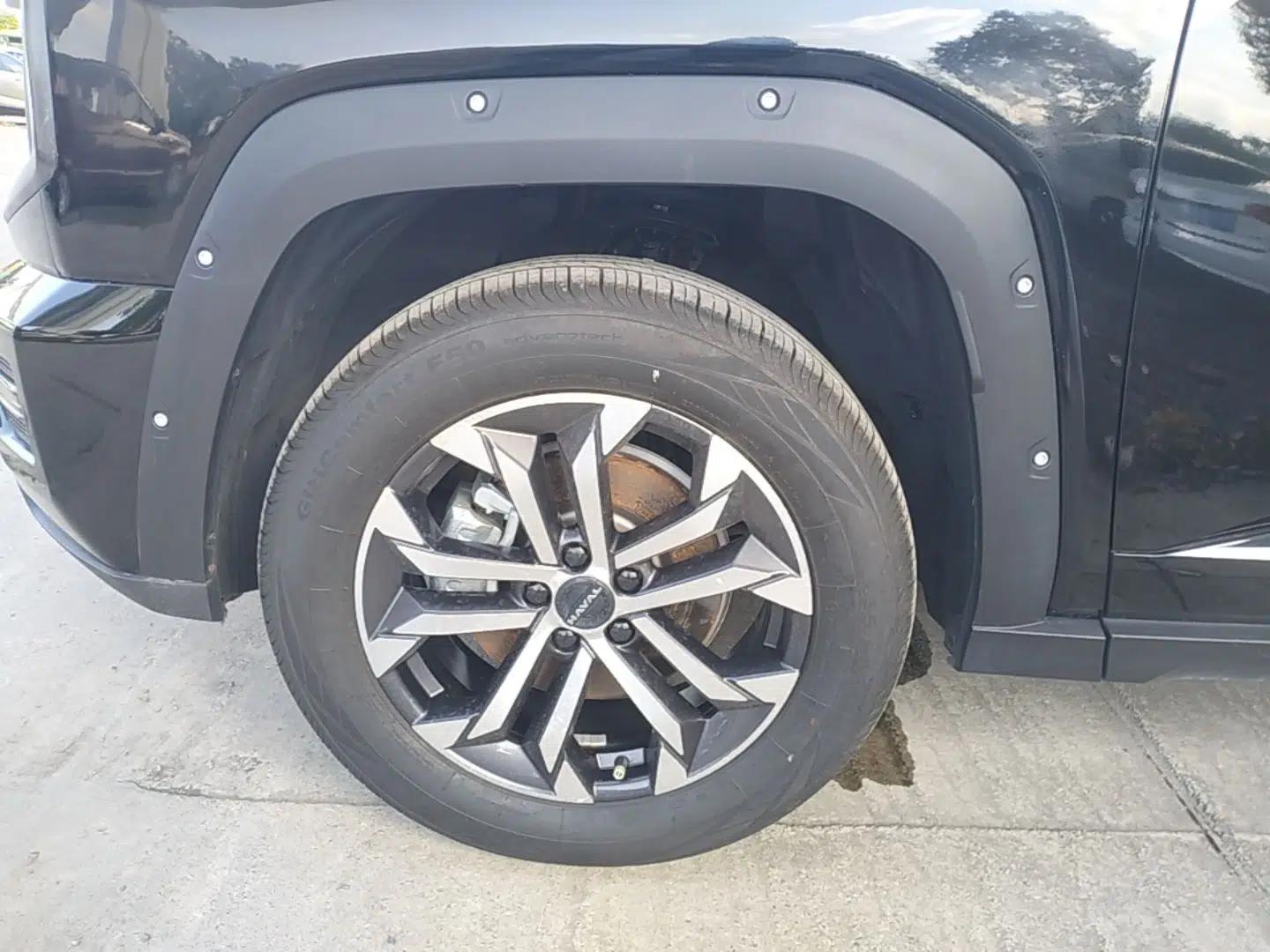 Haval H Dog 2023 1.5T Two-Wheel Drive Chao Ye Version Plus — миниатюра 8