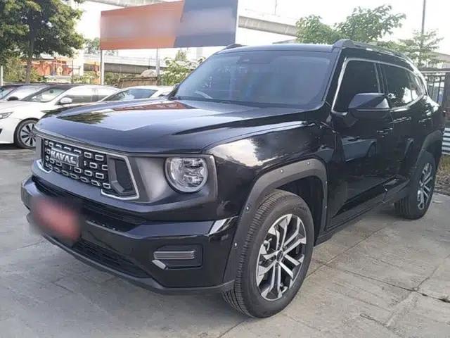Haval H Dog 2023 1.5T Two-Wheel Drive Chao Ye Version Plus