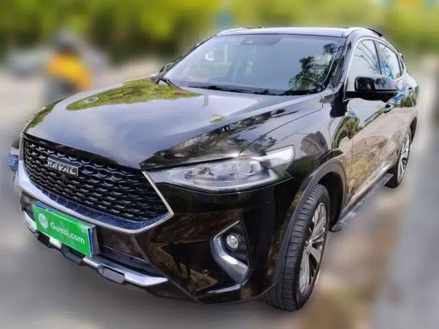 Haval F7x 2019 1.5T Two-Wheel Drive Intelligent Technology Edition
