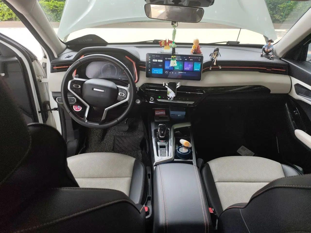 Haval LHERY 2021 High-Performance Version 1.5T Golden Rabbit — миниатюра 18