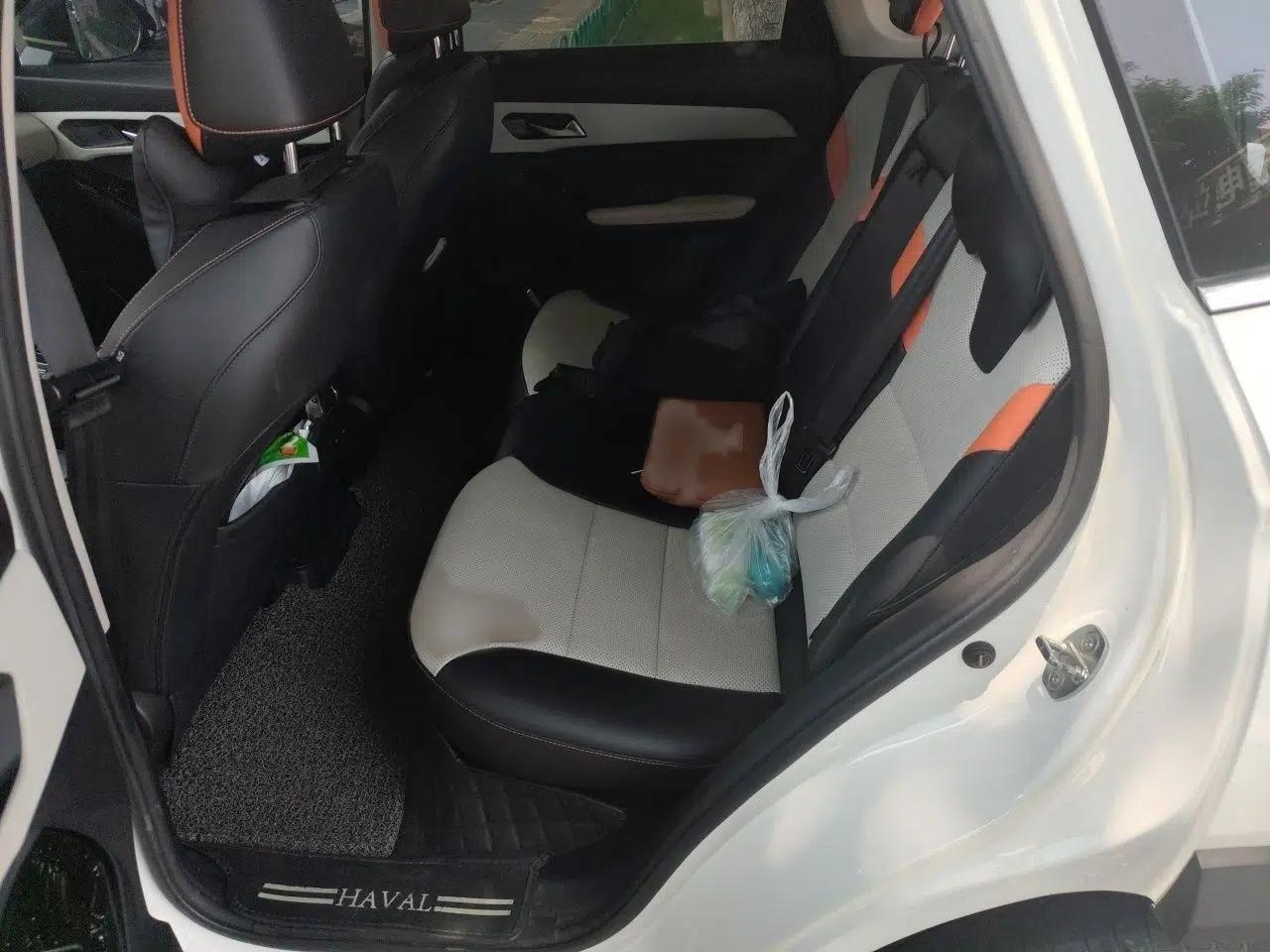 Haval LHERY 2021 High-Performance Version 1.5T Golden Rabbit — миниатюра 20