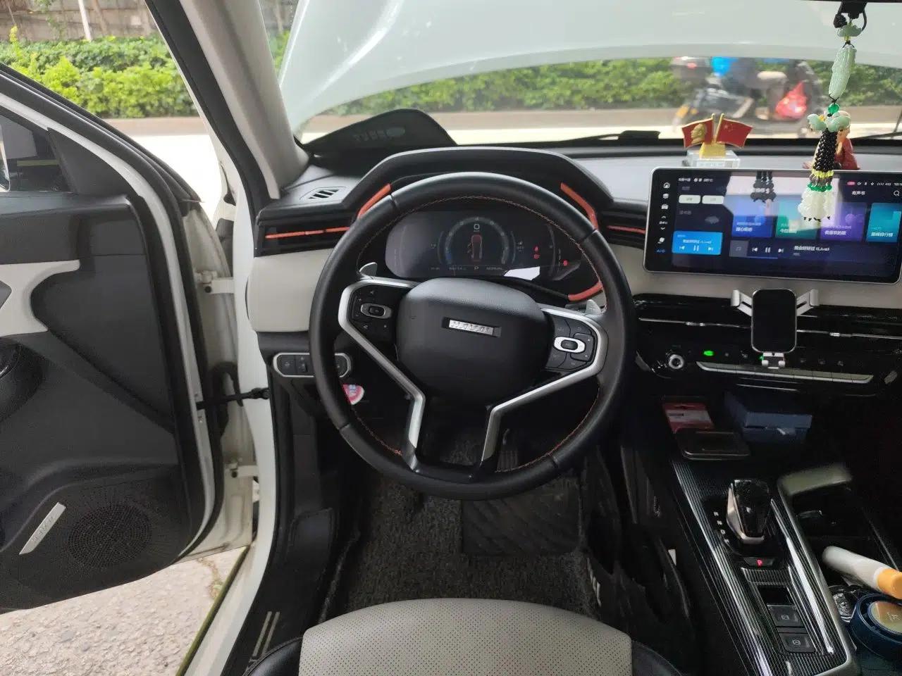Haval LHERY 2021 High-Performance Version 1.5T Golden Rabbit — миниатюра 9