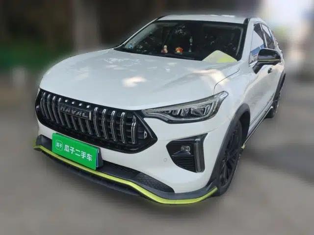 Haval LHERY 2021 High-Performance Version 1.5T Golden Rabbit