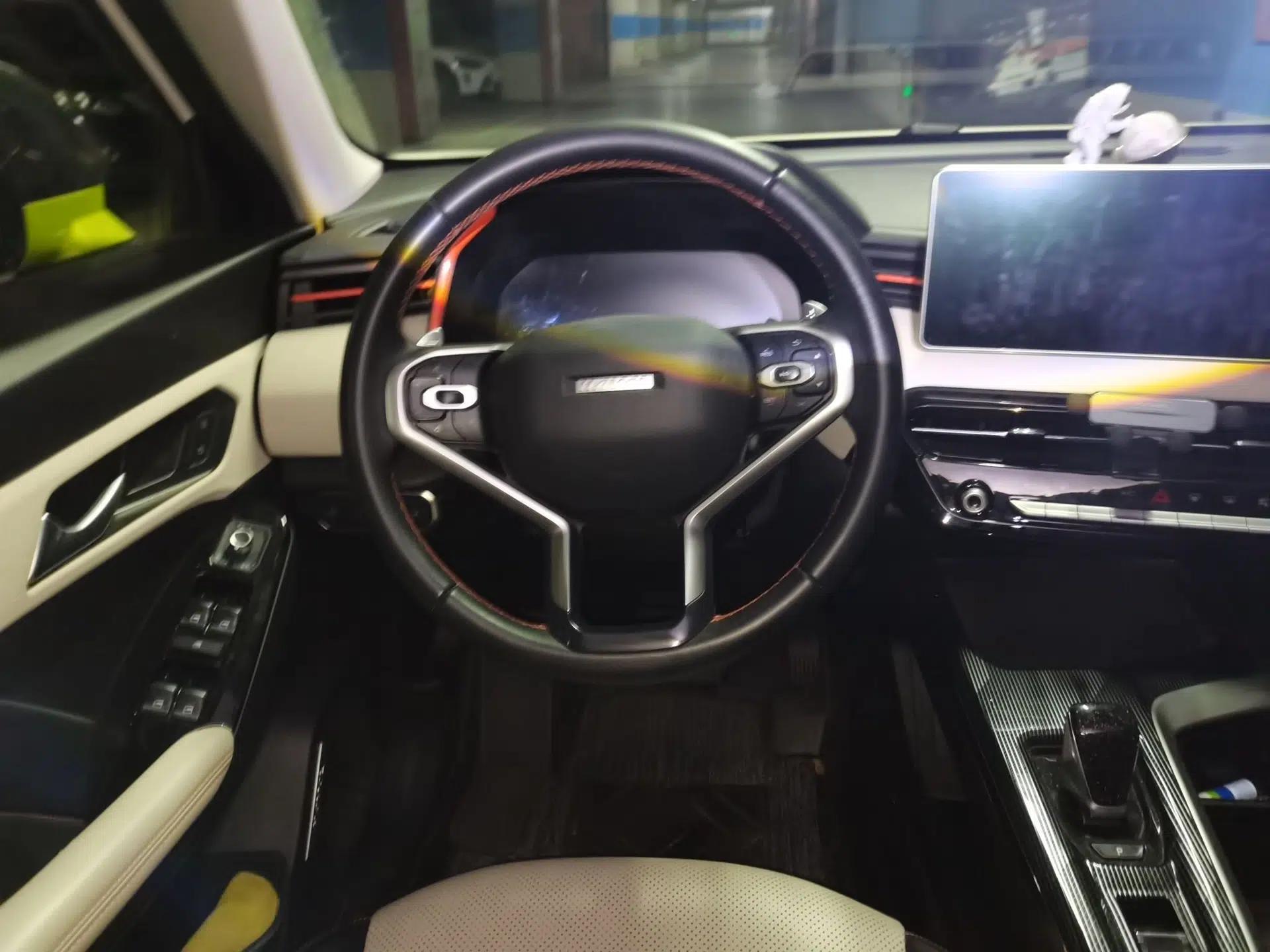 Haval LHERY 2021 High-Performance Version 1.5T Golden Rabbit — миниатюра 11