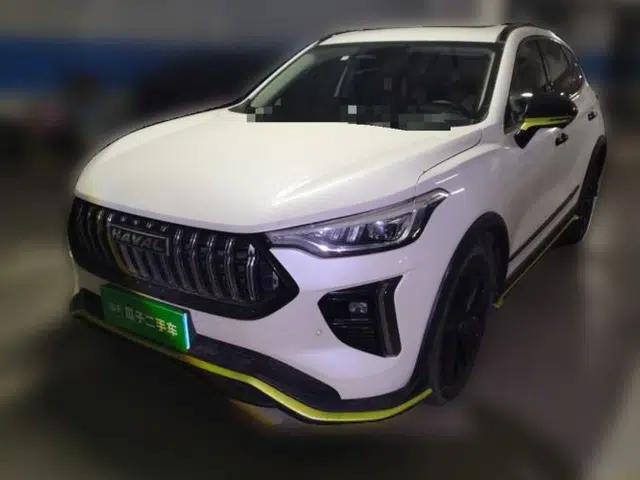 Haval LHERY 2021 High-Performance Version 1.5T Golden Rabbit