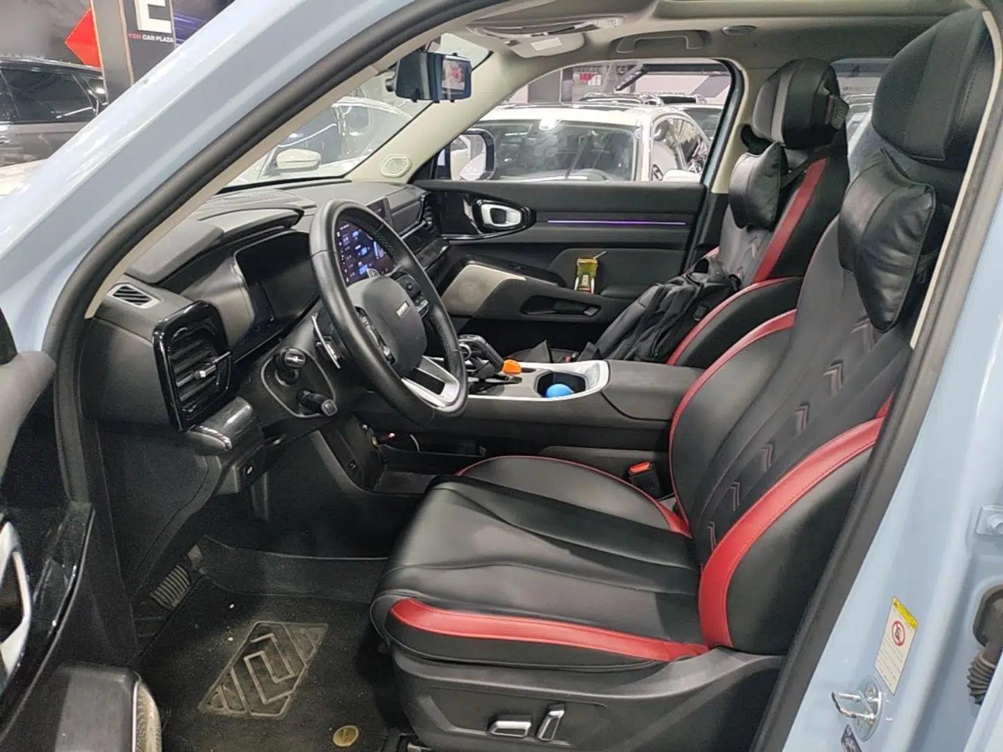 Haval X DOG 2022 1.5T DCT Two-Wheel Drive Trendy Edition — миниатюра 17