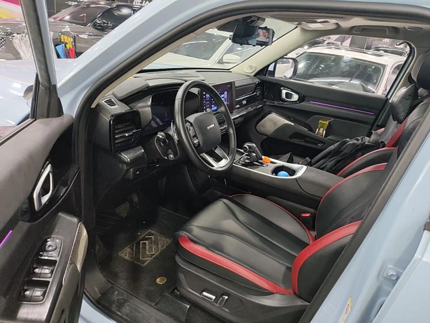 Haval X DOG 2022 1.5T DCT Two-Wheel Drive Trendy Edition — миниатюра 18