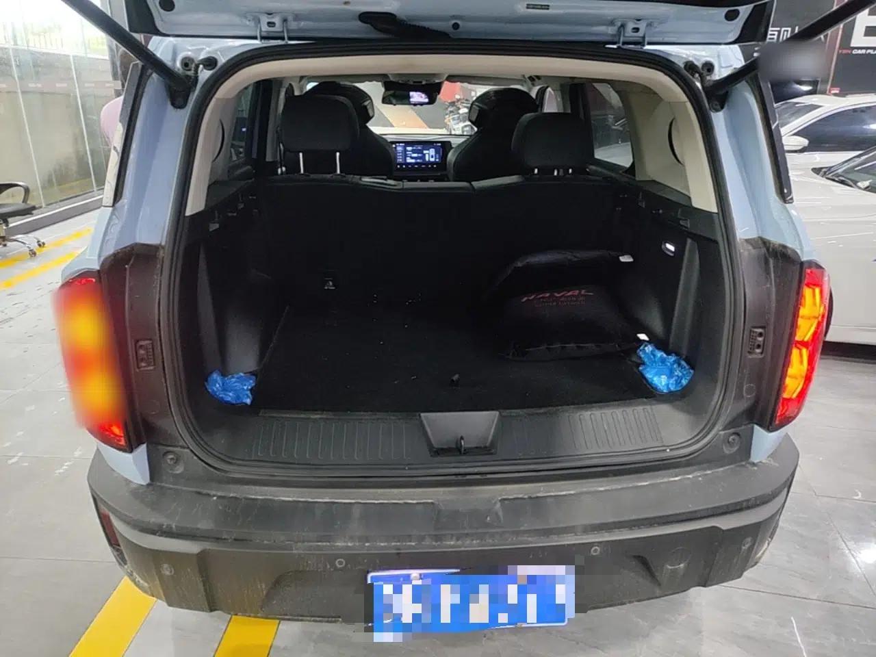 Haval X DOG 2022 1.5T DCT Two-Wheel Drive Trendy Edition — миниатюра 21