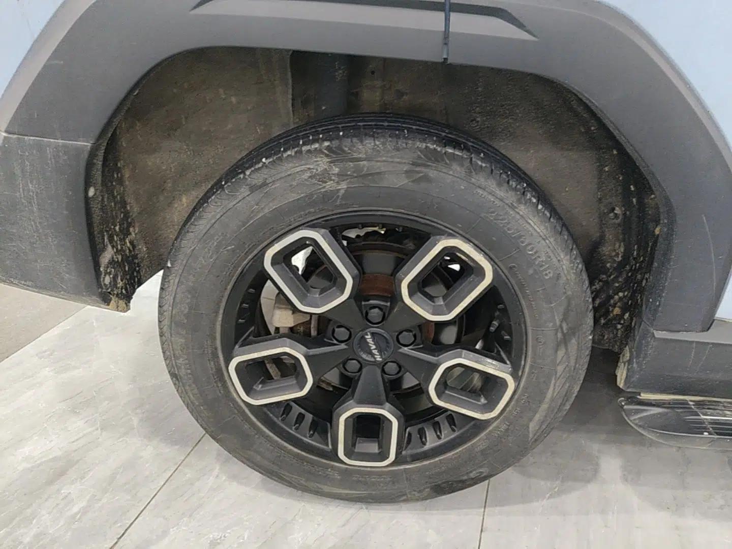 Haval X DOG 2022 1.5T DCT Two-Wheel Drive Trendy Edition — миниатюра 10