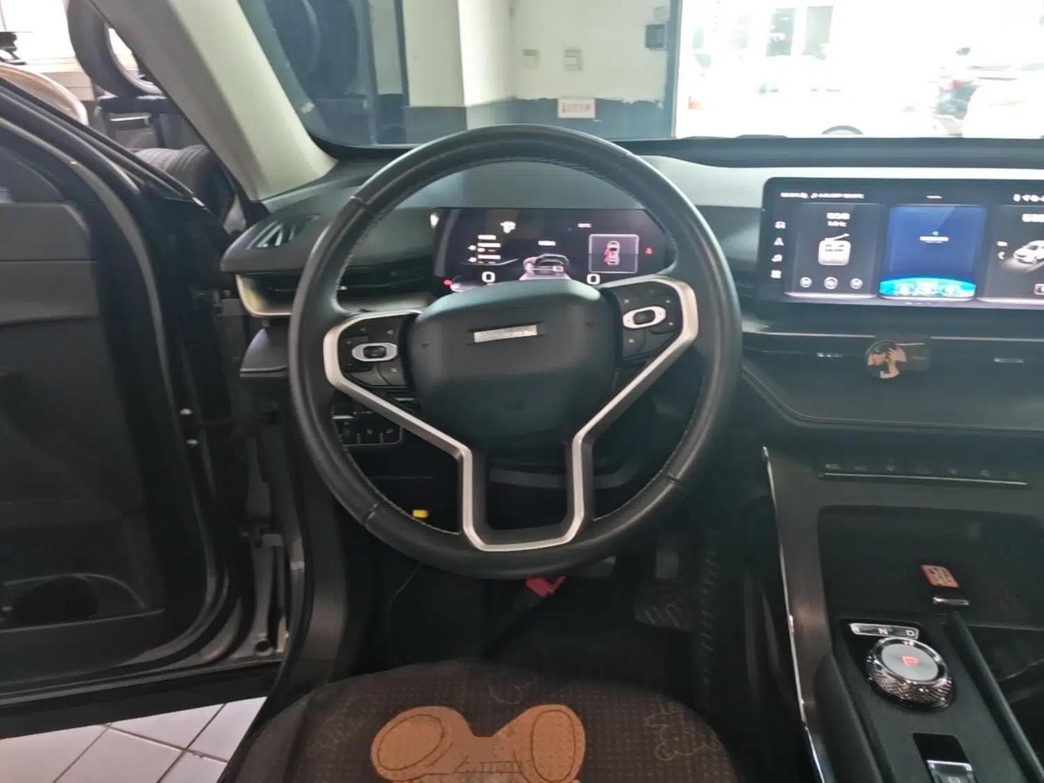 Haval H6 New Energy 2023 DHT-PHEV 55KM Enjoyment Edition — миниатюра 14