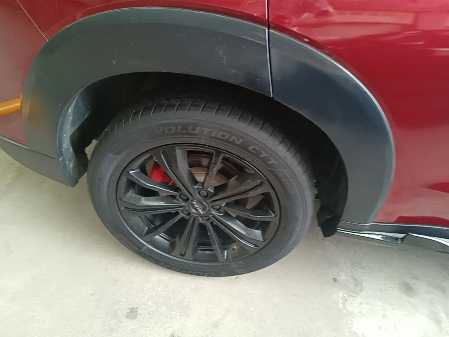 Haval H6S 2022 2.0T Two-Wheel Drive ZhiRun Version — миниатюра 10