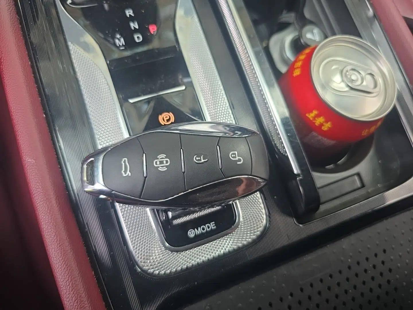 Hongqi H5 2024 2.0T Automatic Smart Connect Flagship Edition — миниатюра 9