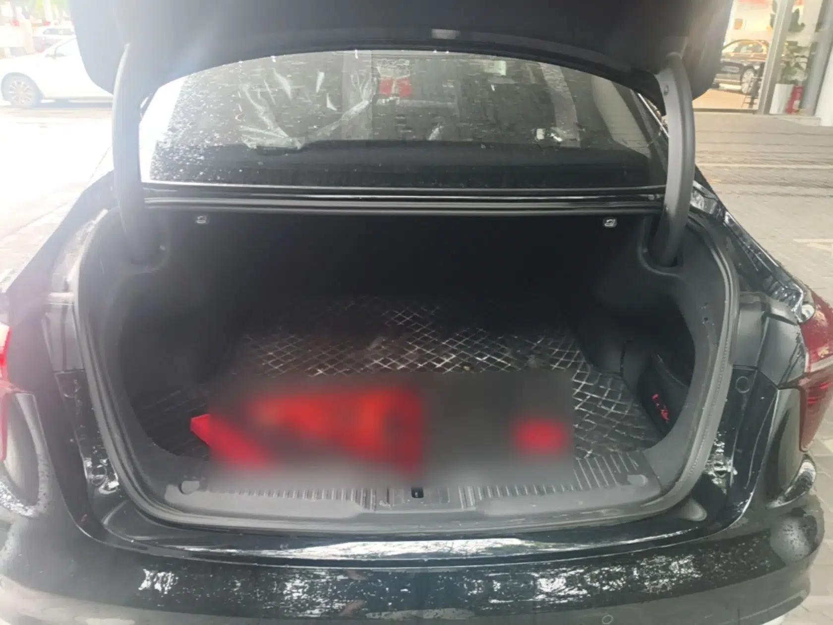 Hongqi H5 2023 2.0T Automatic Smart Connect Flagship Edition — миниатюра 22