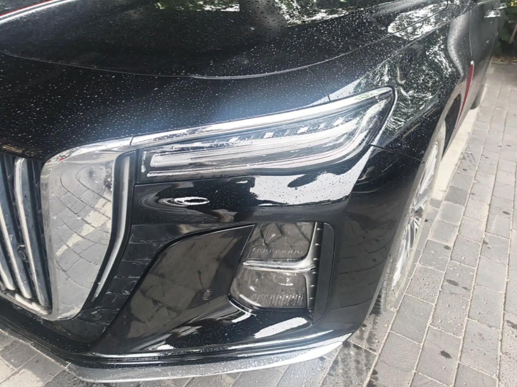 Hongqi H5 2023 2.0T Automatic Smart Connect Flagship Edition — миниатюра 9
