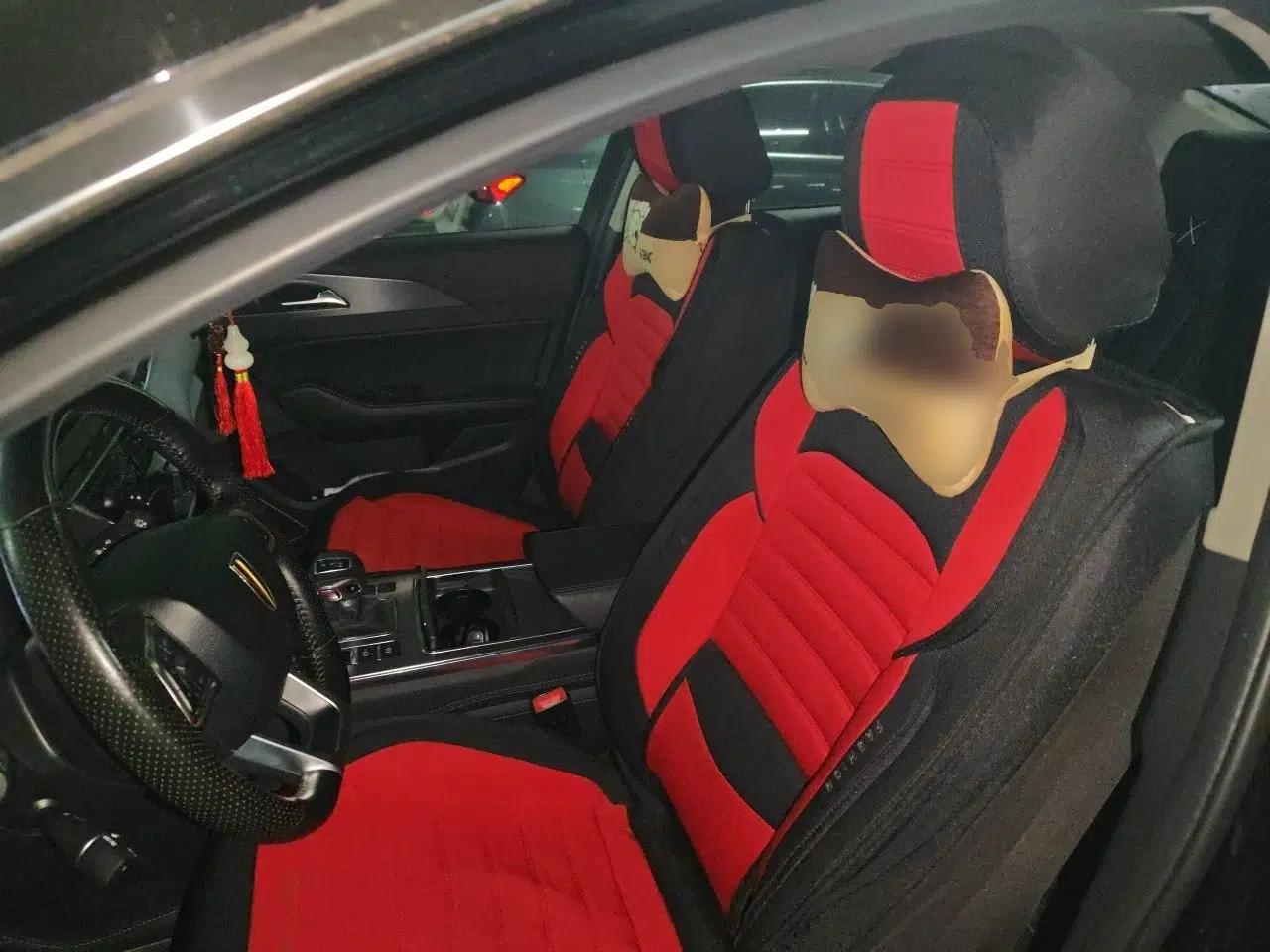 Hongqi H5 2020 1.5T DCT Flagship Edition — миниатюра 16
