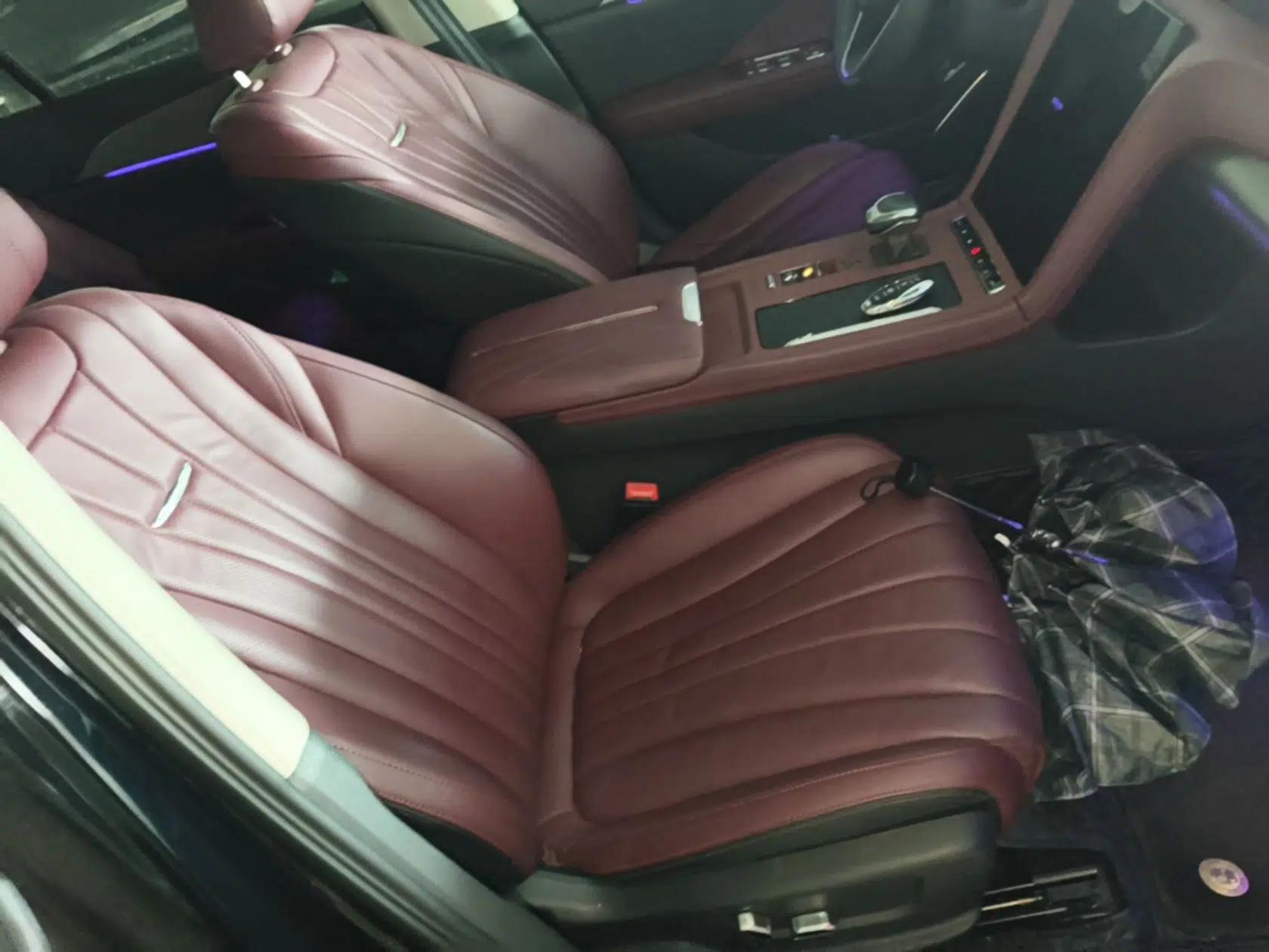 Hongqi H5 2023 2.0T Automatic Smart Connect Flagship Edition — миниатюра 23