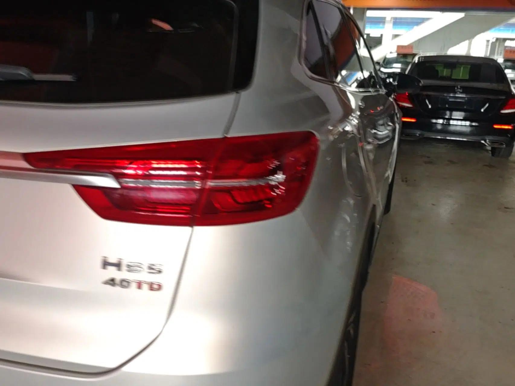 Hongqi HS5 2022 Revised Version 2.0T Smart Connect Flagship Edition — миниатюра 8