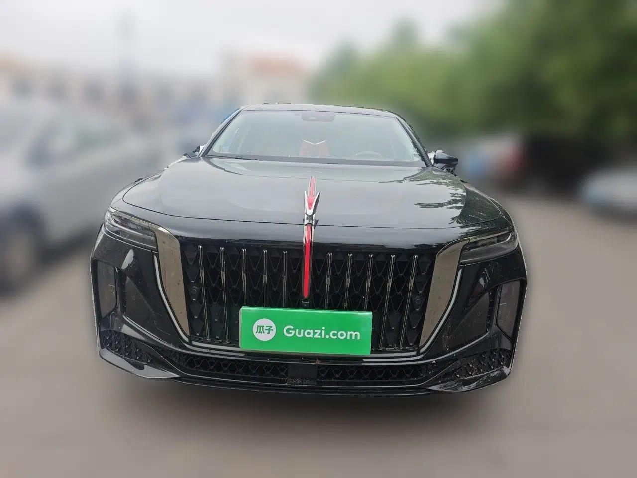 Hongqi H9 2024 2.0T Qixiang Private Style Edition — миниатюра 2