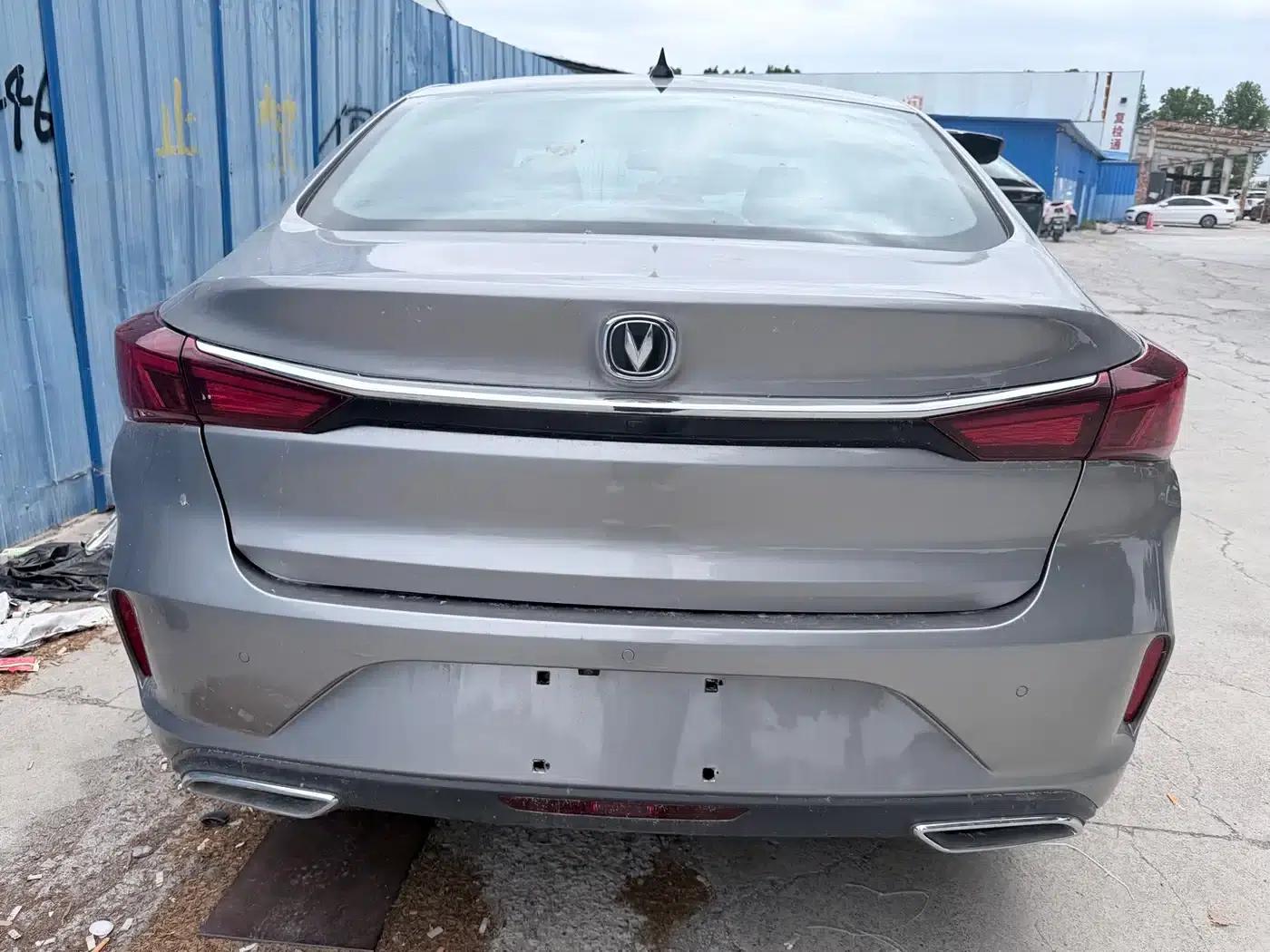Changan Eado 2020 PLUS Blue Whale NE 1.4T GDI DCT Premium Edition — миниатюра 8