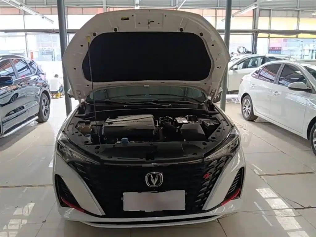 Changan Eado 2023 Enjoy Edition PLUS Blue Whale NE 1.4T GDI DCT Premium Edition — миниатюра 20