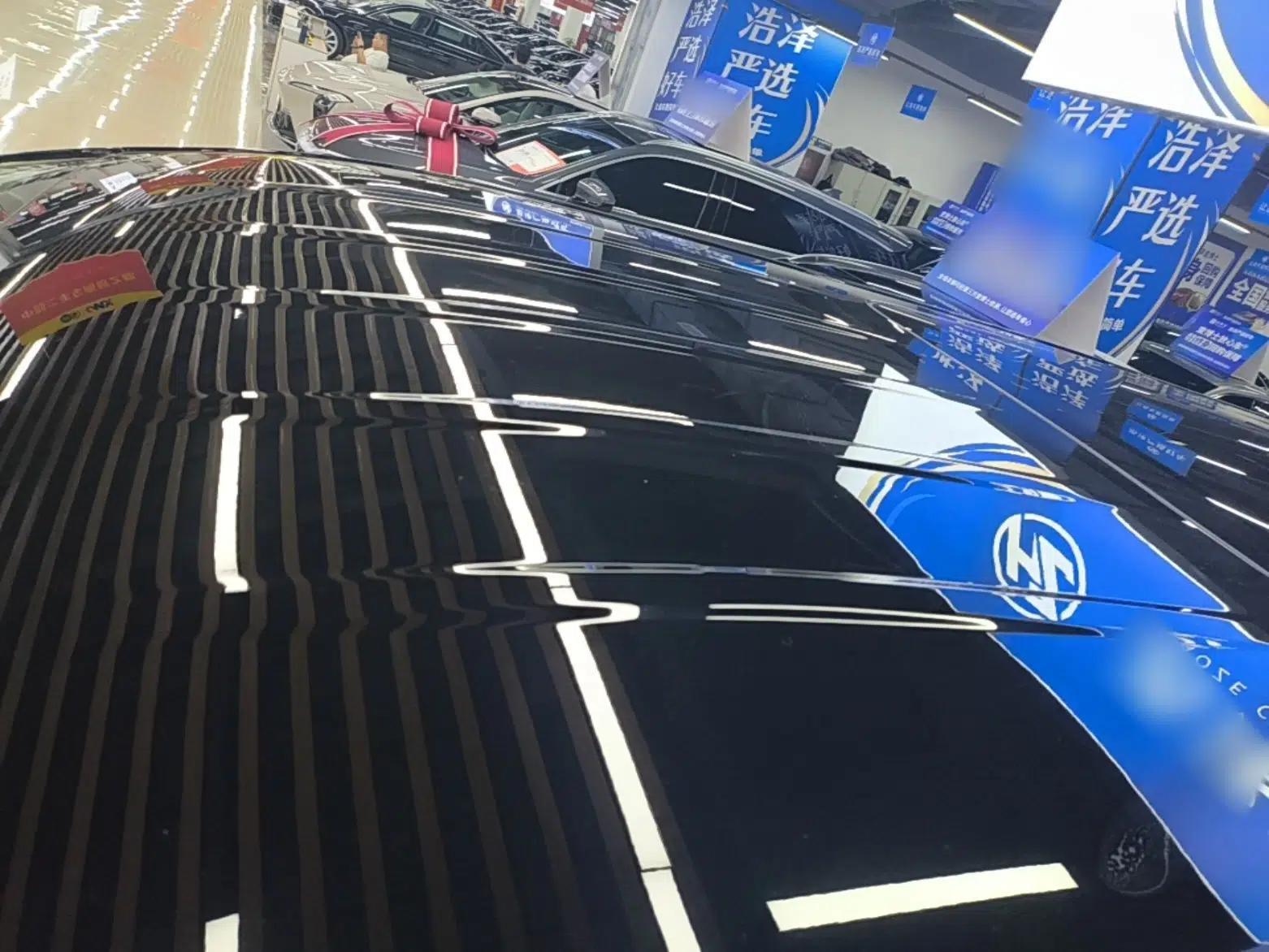 Hongqi HQ9 2023 2.0T Smart Connect Flagship Edition — миниатюра 11