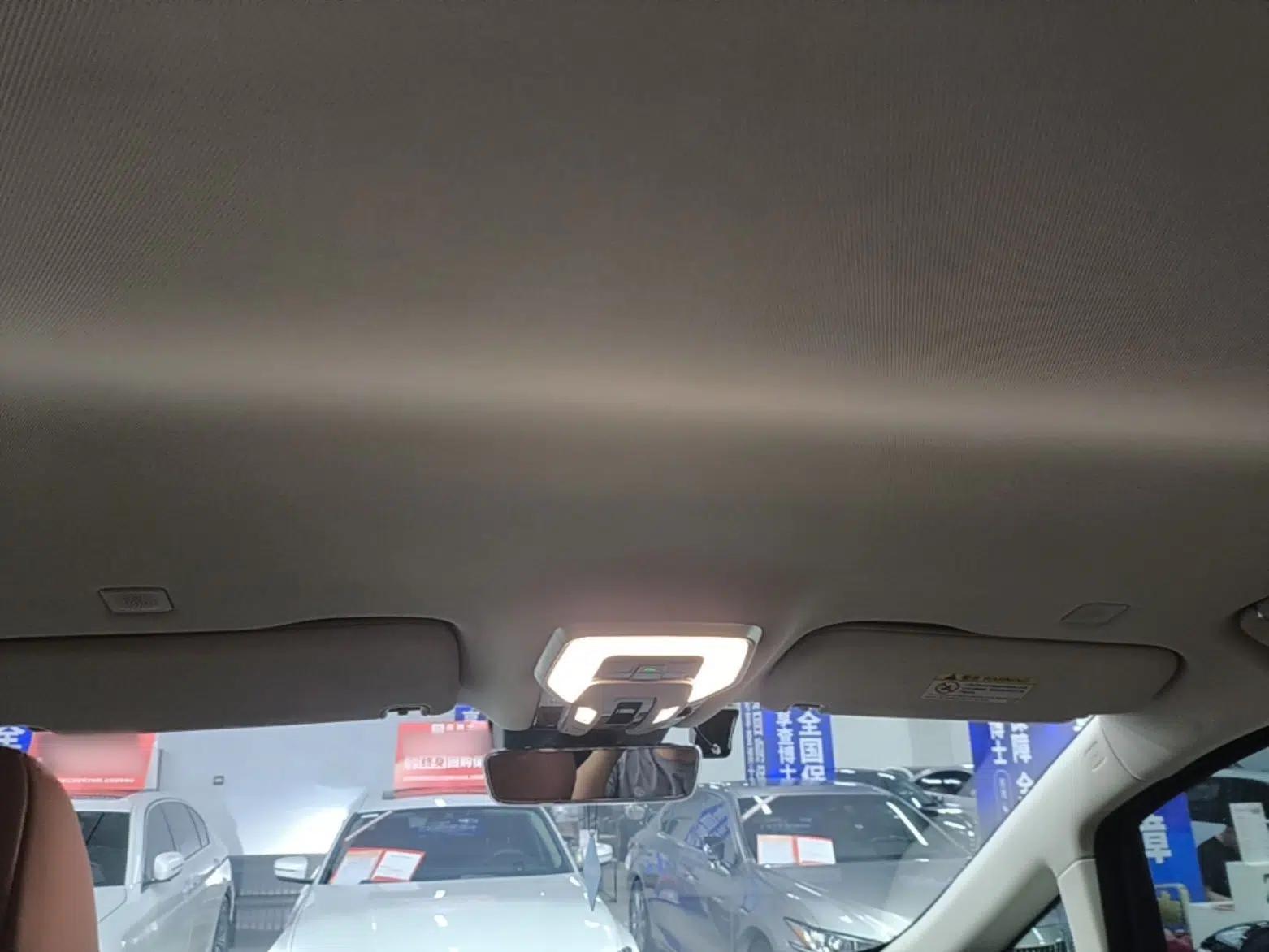 Hongqi HQ9 2023 2.0T Smart Connect Flagship Edition — миниатюра 20