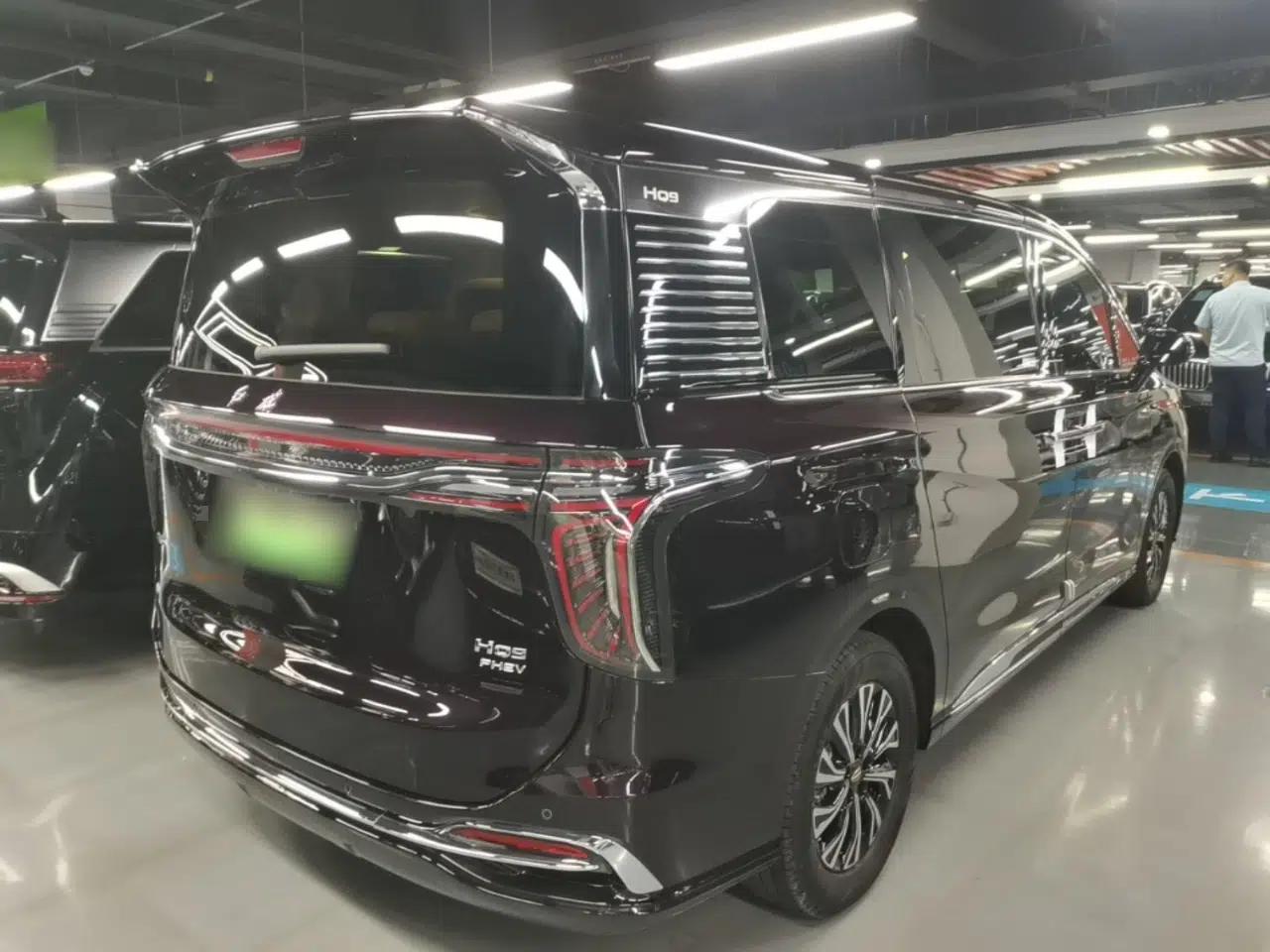 Hongqi HQ9 PHEV 2024 2.0T Four-Wheel Drive Business Edition — миниатюра 6