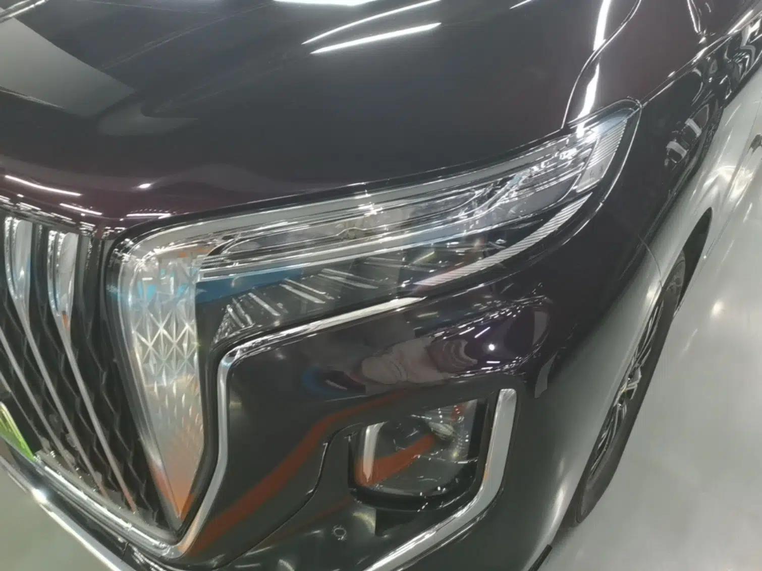 Hongqi HQ9 PHEV 2024 2.0T Four-Wheel Drive Business Edition — миниатюра 9